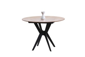 Стол Агава 110 /assets/images/products/4175/x220/agava-k-1000.jpg